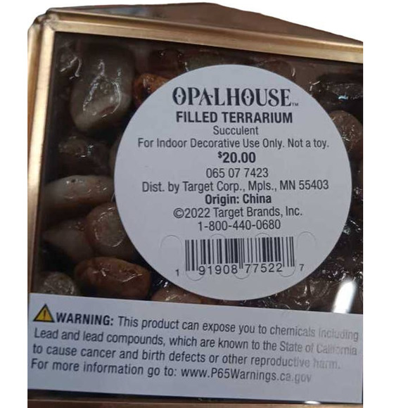 Set of (2) 5" x 4" Artificial Succulent Plant with Brass Terrarium - Opalhouse - Picture 8 of 8